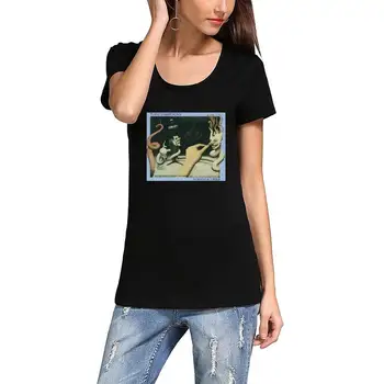 

TSDFC The Chameleons Strange Times Women's Basic Short Sleeve T-Shirts unisex men women t shirt