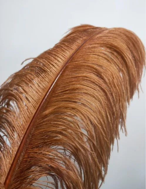 Brown color Натуральный страусиное перо подвесной светильник s люстра в стиле лофт pendente спальня Hanglamp Ресторан декоративное освещение светильник светильники - Цвет корпуса: Brown color