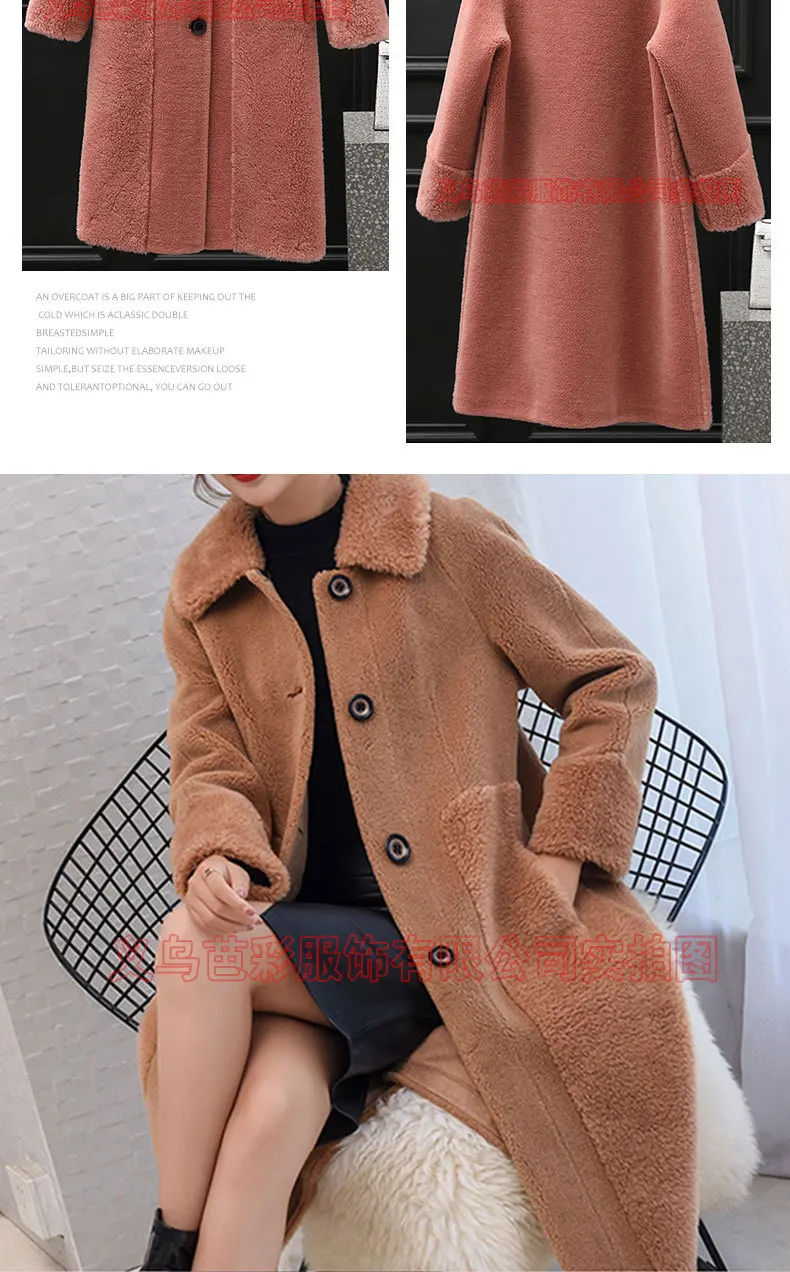 11892075517_1056588661