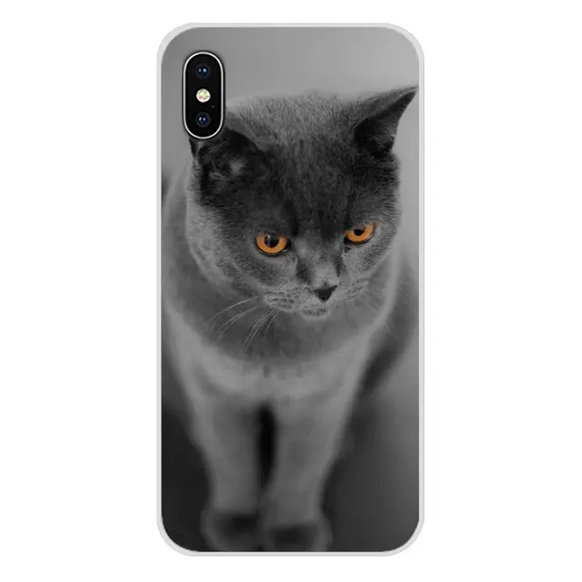 Cute British Shorthair Cat Accessories Shell Covers For Sony
