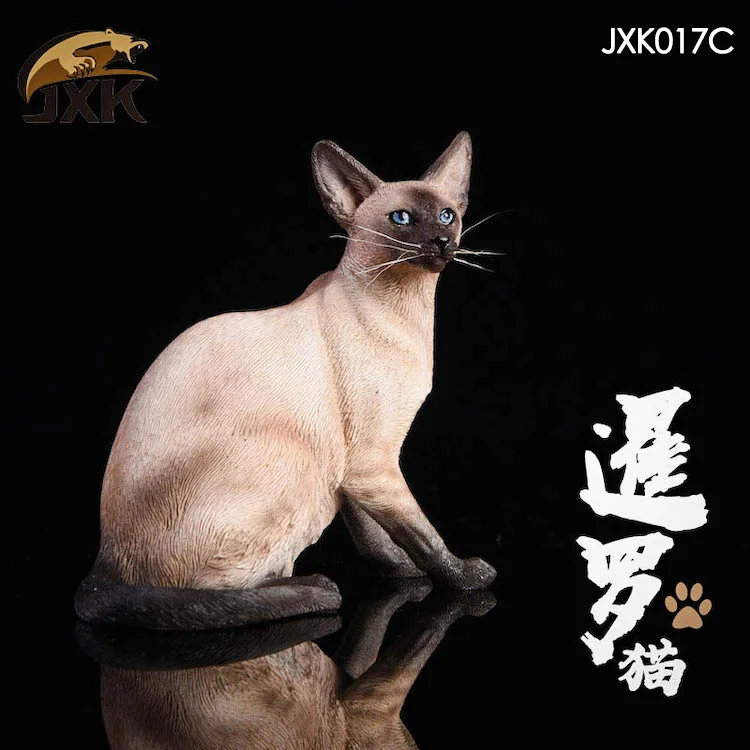 Коллекционная в наличии 1/6 весы Jxk017 сиамская кошка приседания животное модель аксессуар черная кожа цвет игрушка для питомца для 12 ''фигурка