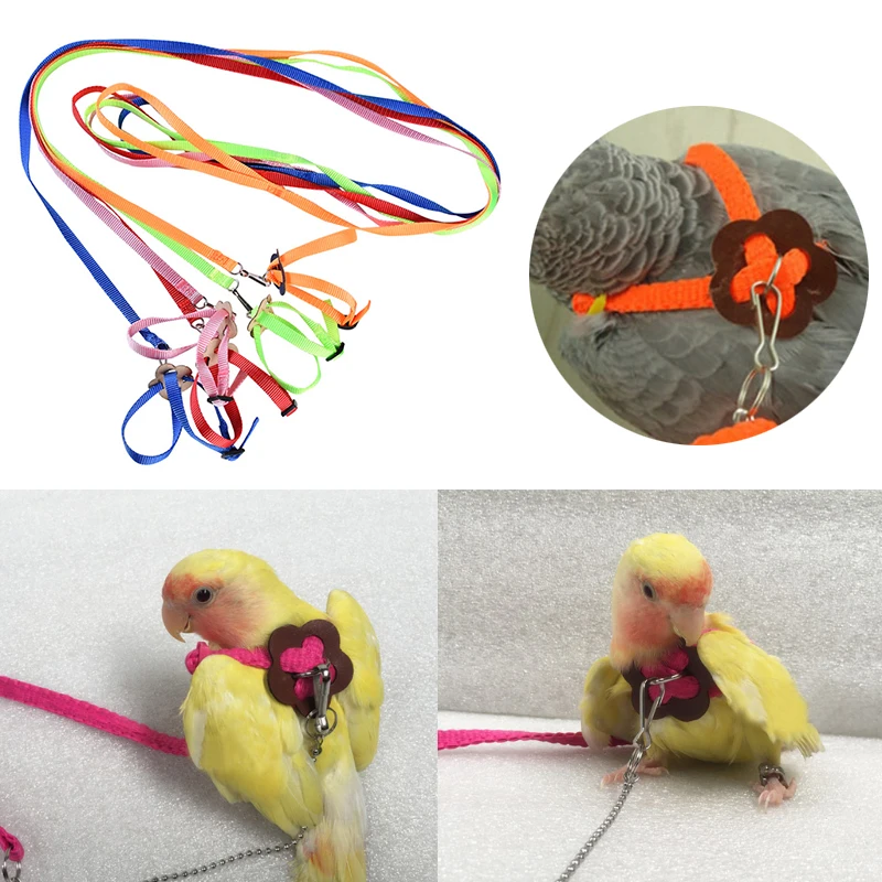 PetParrotBirdHarnessLeashFlyingRopeStrapsOutdoorTraining