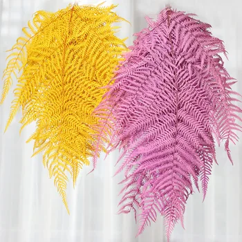 

3pcs Large Big Fern Leaf Preserved Flowers Multicolor Eternal Flower Home Decor Aromatherapy Floral Home Decoration Accessories