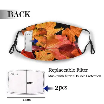 

protective mask with filter Autumn anti dust PM2.5 reuse adult teen child girl