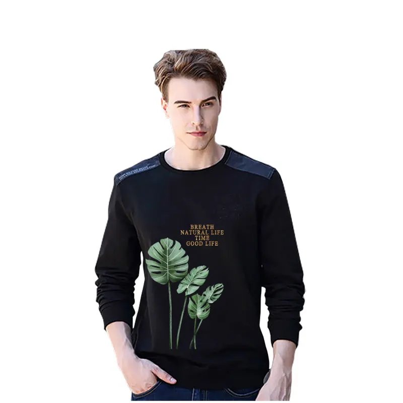 TA2594植物叶子_04