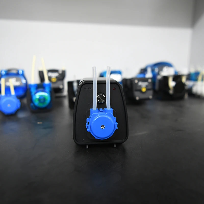 High Quality Renovação da Casa