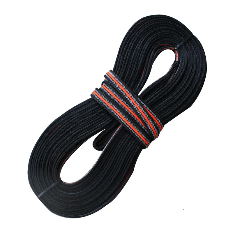 dog leash