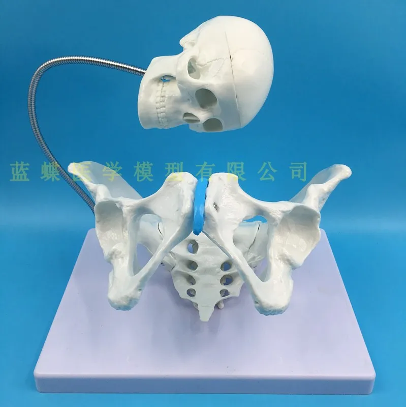 HTB1EvPgaBv0gK0jSZKbq6zK2FXak