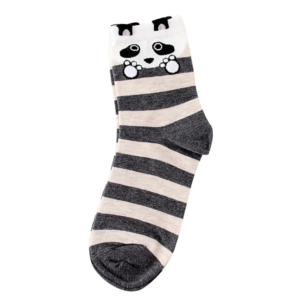 XLP81207697_20181207035116418