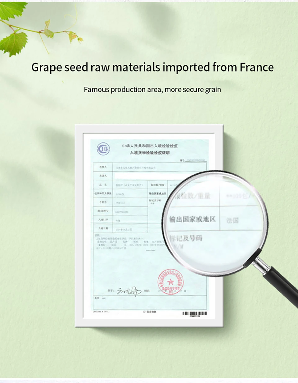 禾博士葡萄籽芦荟软胶囊原花青素精华维E多酚成人女性肌肤增免疫_05