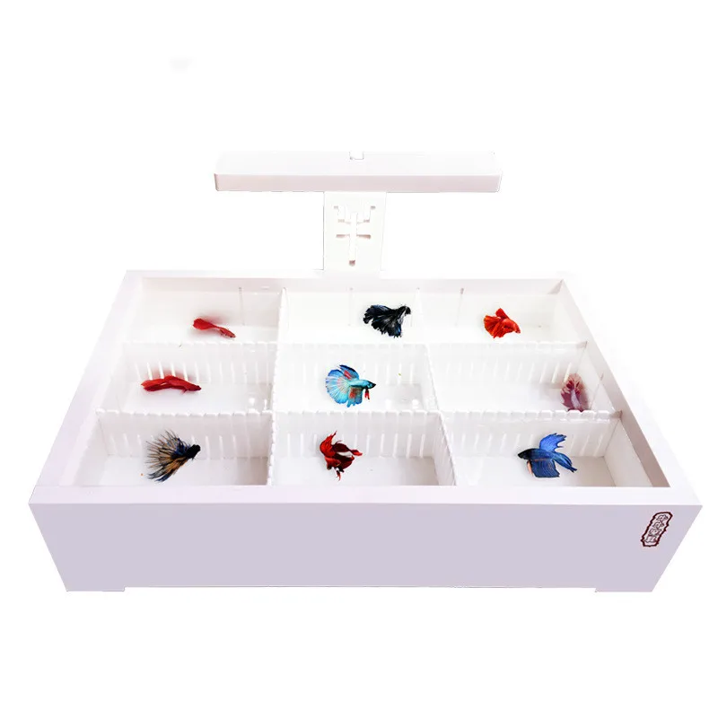 PETFORU черепаха КРОК Betta бак изоляции пластиковая аквариум паук разведение