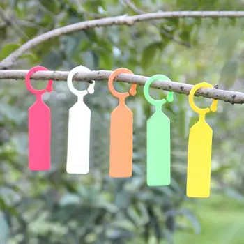 

100pcs Ring Plastic Hanging Labels Nursery Garden Plant Pot Markers Reusable Waterproof Thick Hook Tree Tags Decoration Tool