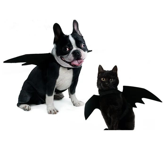 Костюм для собак летучая мышь, одежда с принтом крыльев, забавная Одежда для собак кошек, костюм для собак на Хэллоуин, праздничная одежда для котят, товары для домашних животных