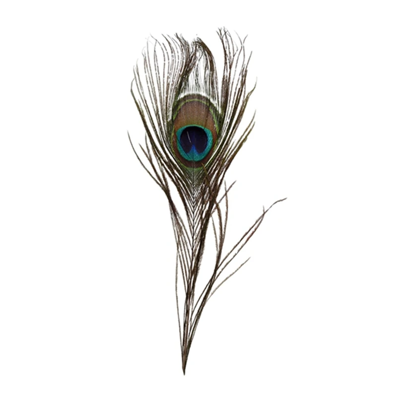 Natural Peacock Feathers 10-12''