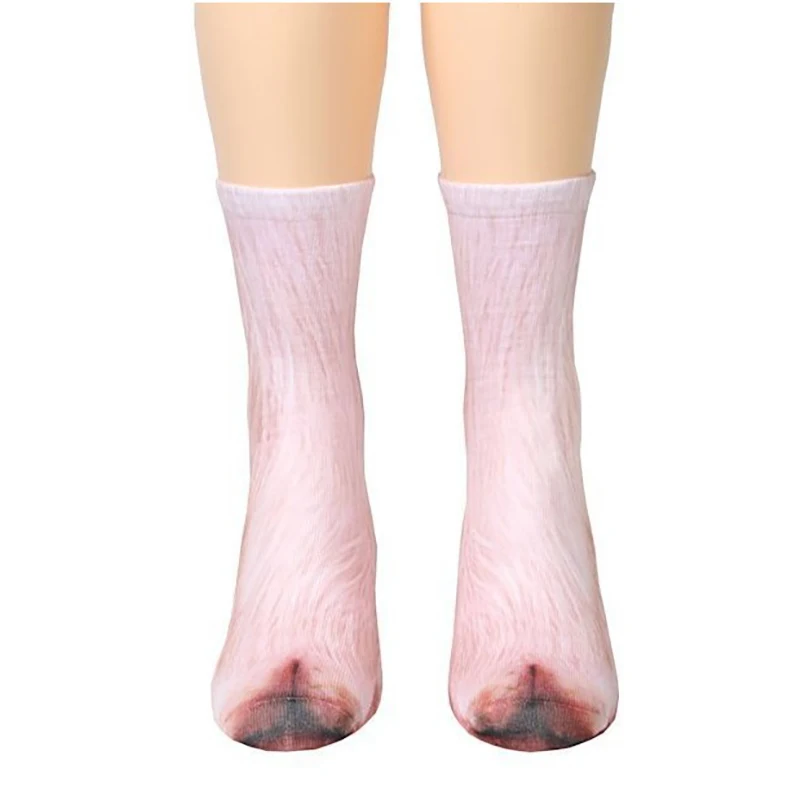 8391402884_740632927