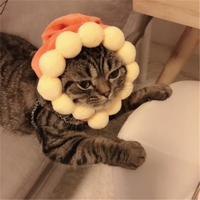

Cute Dog Cat Funny Hat Dog Cap Cheap Pet Accessories Caps For Dogs Hats Pets Funny Costume Cosplay Pet Dog Hat Chihuahua