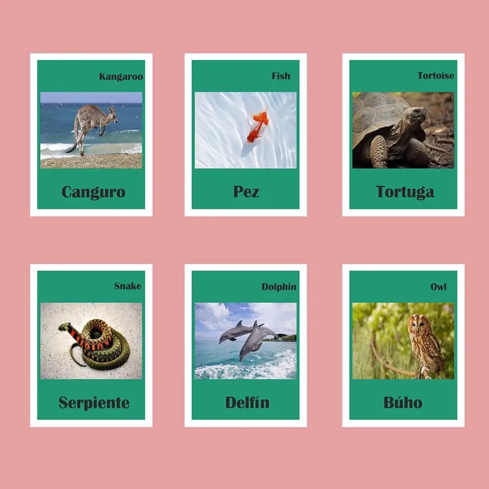 24Pcs Tarjeta de nombres de modelo animal Juguete aves de corral a juego de material para la educación temprana 