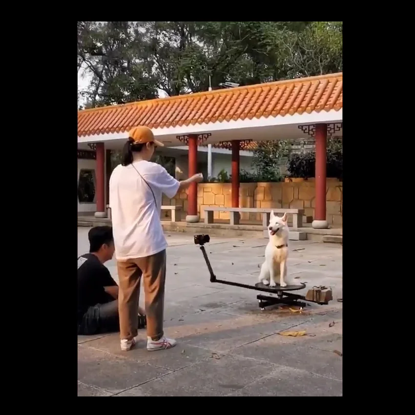 

Вращающийся дисплей Nsion, вращающийся на настольные украшения градусов стол для съемки, поворотный стол для фотосъемки, вращающаяся подставка для дисплея