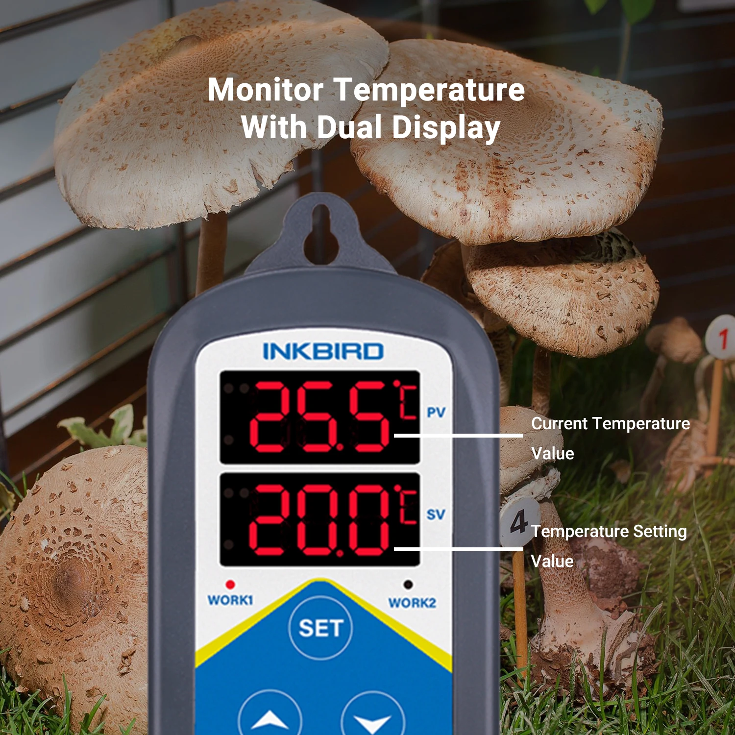 Temperature Humidity Controller Incubator Itc-306t Aquarium