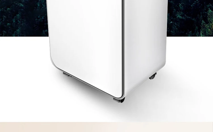 Бытовой осушитель эффективный Dehumidifing 12L/дней склад Кухня осушитель воздуха Портативный, популярный, комерческий влагопоглотитель 220V DH02