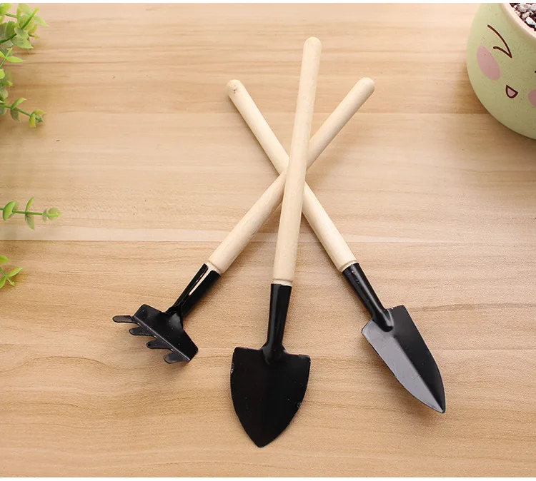 10875697284_1299580033