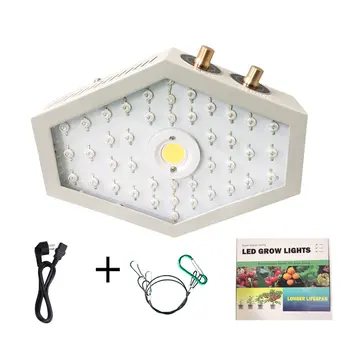 

Plants LED Grow Light Full Spectrum 1000W Double Chip Red/Blue/UV/IR Lateral Angle Light For Indoor Plants VEG BLOOM