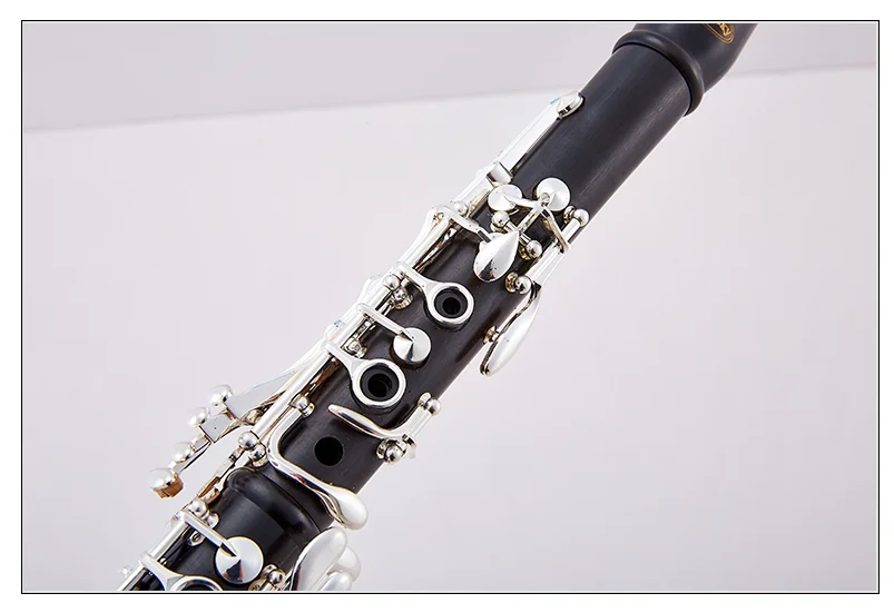 QQ图片20200222223842