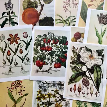 

15Pcs Vintage Plant Fruit Flower Material Craft Paper Card DIY Junk Journal Scrapbooking Photo Wall Decorative