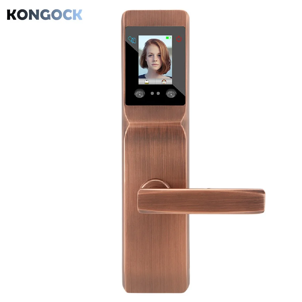 

Electronic Keyless Biometric Face & Palm-print Recognition Smart Door Lock for home and apartment or hotel etc
