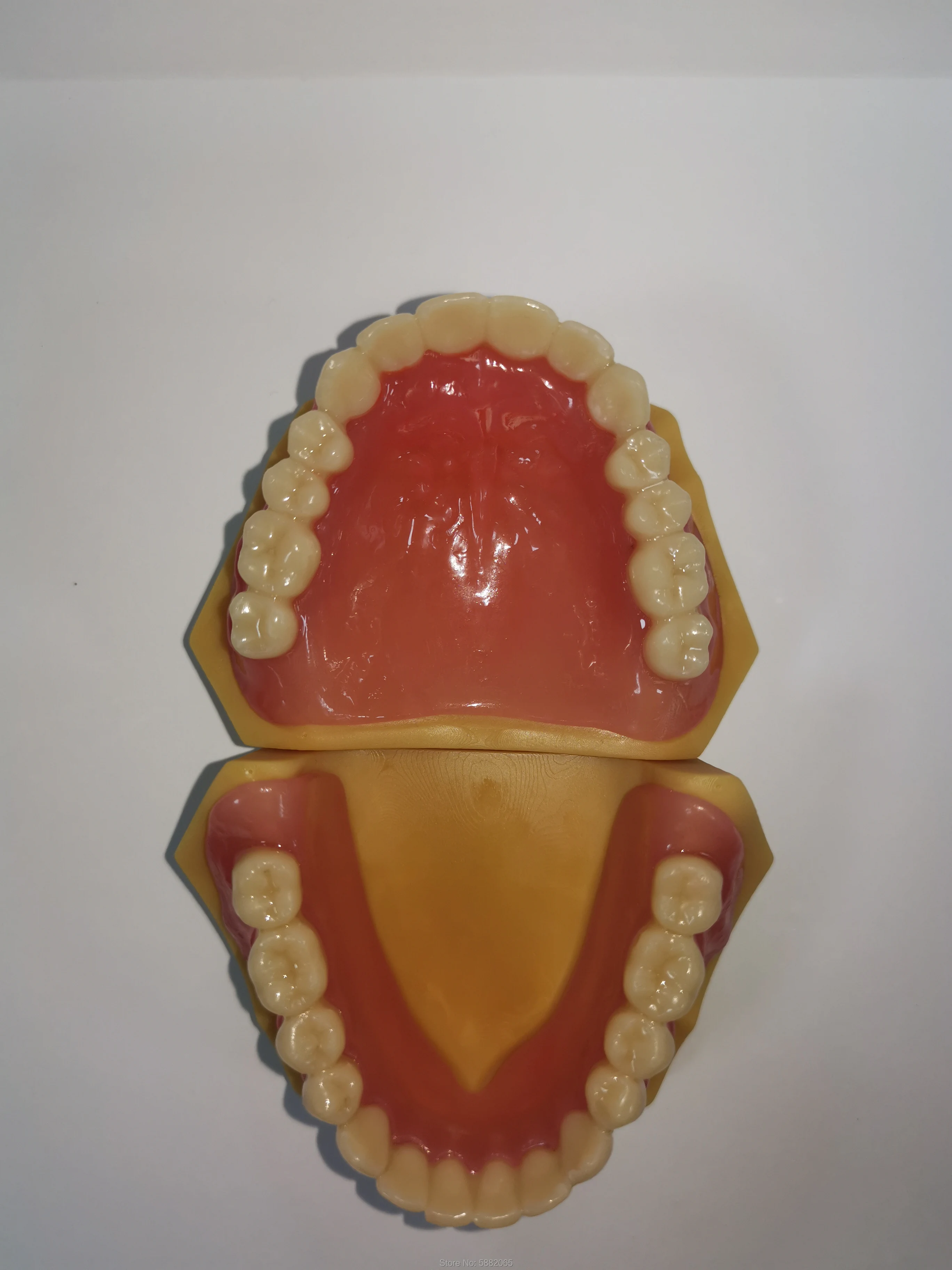 의치 베이스 임시 치아 감광성 수지 3D 프린터 흡착 옥타라이트 샤이닝 NOVA3D 1000ML, 405nm, 무료 배송