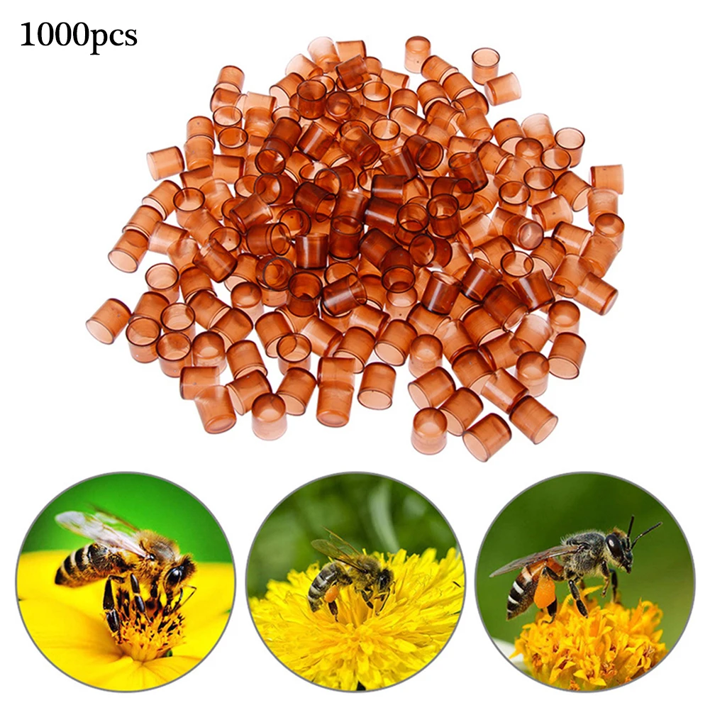 

1000pcs Fast delivery Beekeeping Bee Queen Rearing Plastic Brown Cell Cage Room Cup Beekeeper Equipment for garden supplies Tool