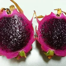 50 шт./пакет Сладкая питайя Китай Редкие дракон фрукты бонсай высокое качество фруктового сада