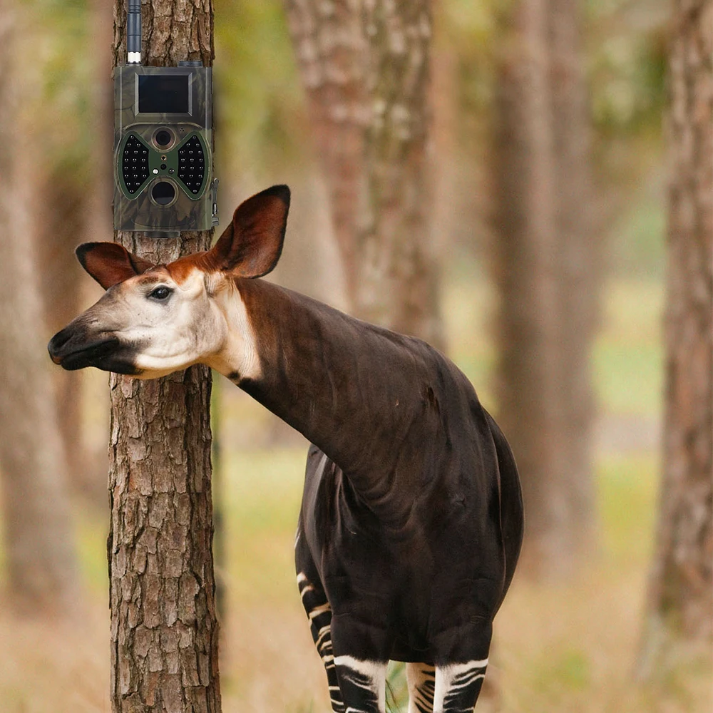 

Trail Camera Photo-trap For Hunting 1080P HD Wild camera Camera Track Animal Camera Waterproof Night Version Wildlife Scouting