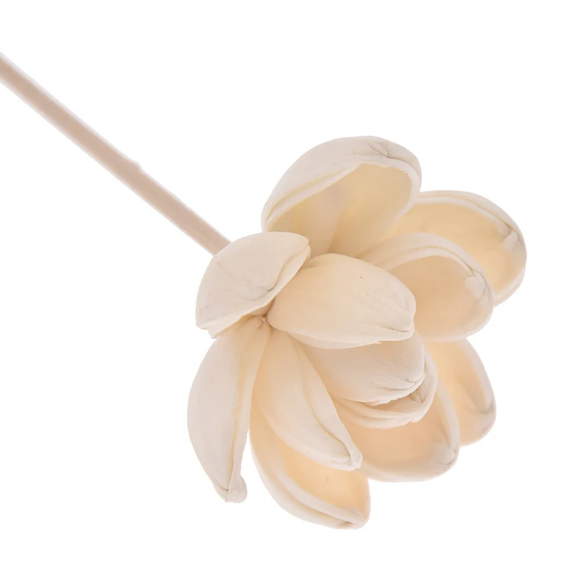 2PCS 5PCS 수련 꽃 아로마 테라피 등나무 불 없음 아로마 디퓨저 스틱 홈 거실 향기로운 향