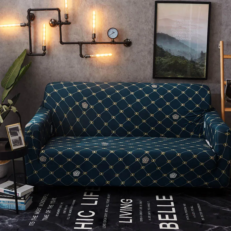 11581582894_2091985216