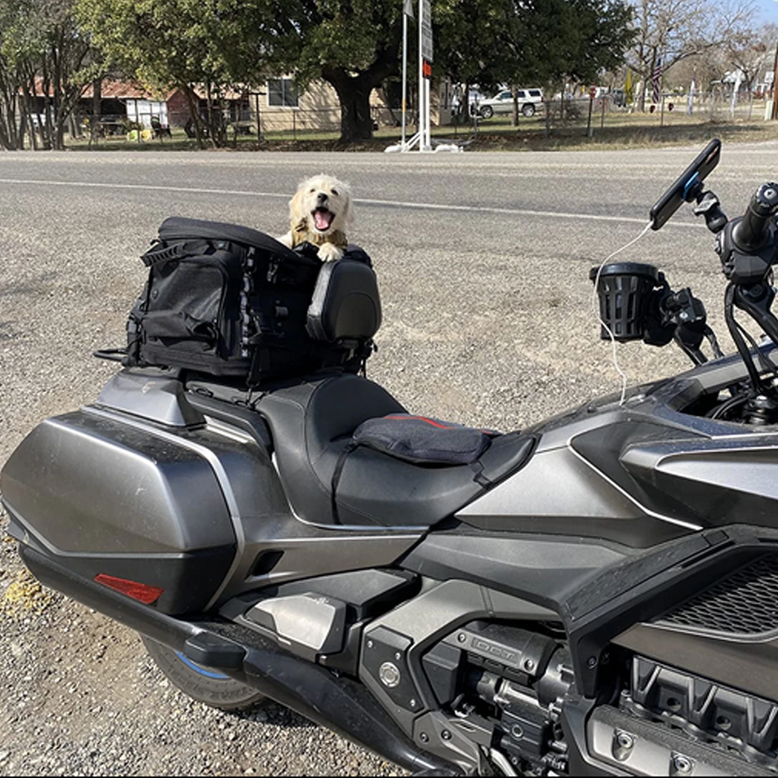 Universale Moto Cane Gatto Pet Carrier Viaggio Sedile Passeggero Portapacchi Per Touring Trike Modello Yamaha Kawasaki