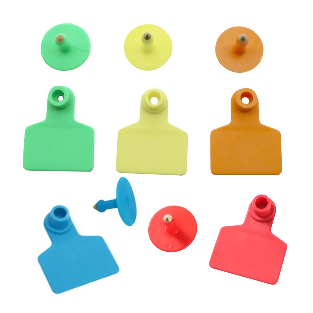 HTB1SsB1Xo_rK1Rjy0Fcq6zEvVXaa