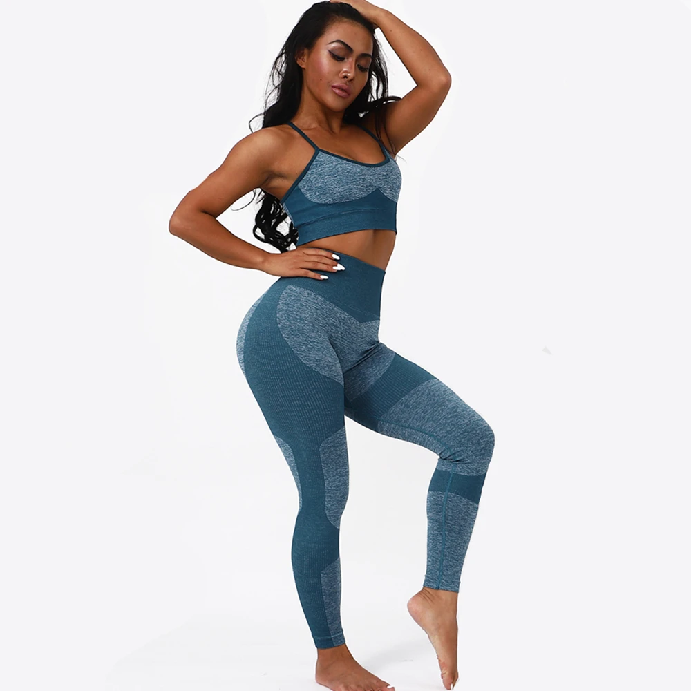 Seamless Yoga Clothing Set Women Bra Leggings Suit Tights Pants Running Sport High Waist Leggins Gym Fitness Training Sportswear