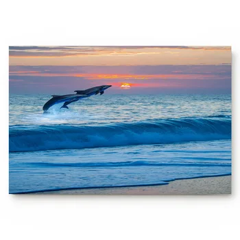 

Dolphin Sea Waves Dusk Animal Cloud Scenery Clever Leap Ocean Waves Non Slip Backing Accessory Sets Floor Carpets