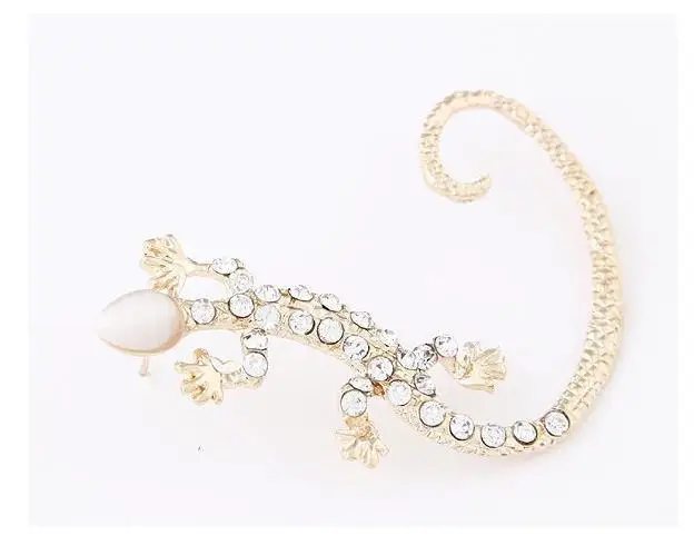 Корейский преувеличенный Bijoux серьга Ящерица серьги для женщин с гекконом со