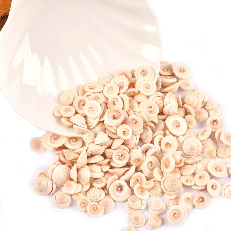 Mini Spiral Natural Shells natural shell ornaments For Flatback Cabochons Handmade Scrapbooking Crafts DIY Aquarium Seashells Home Decoration 50Pcs