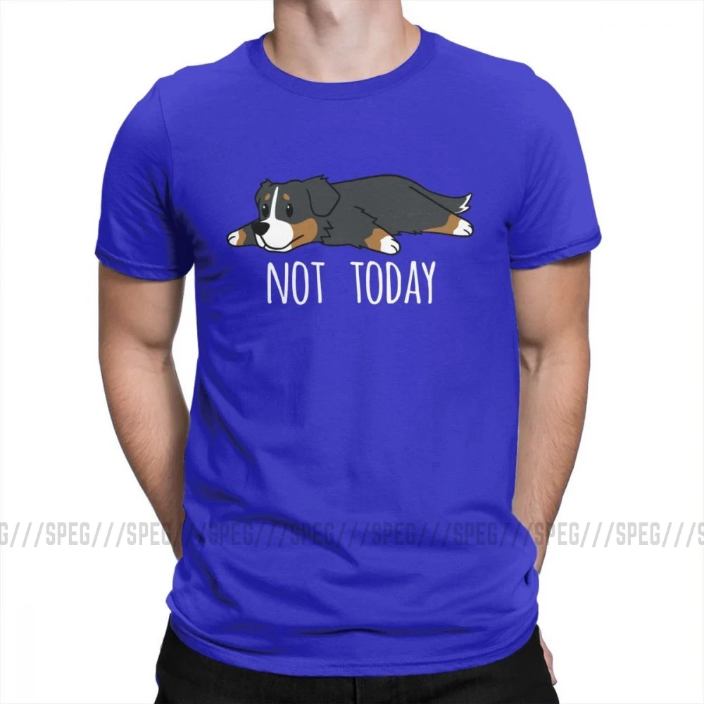 Забавные не сегодня мужские футболки с Бернской горной собакой, потрясающие футболки из хлопка с коротким рукавом, футболки с круглым вырезом, топы высокого качества - Цвет: Синий