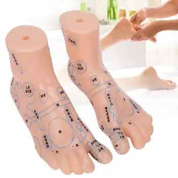 

2 Pcs/Lot 19cm Professional Universal Foot Reflexes Zone Massage Model Foot Massage Model for Hospital School Foot Model Tools