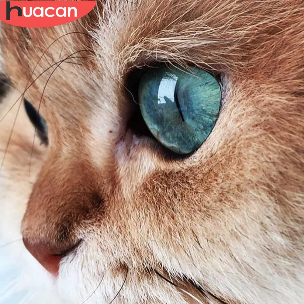 

HUACAN 5d Diamond Painting Full Square New Arrivals Cat Embroidery Cross Stitch Animal Mosaic Full Display Rhinestone Picture