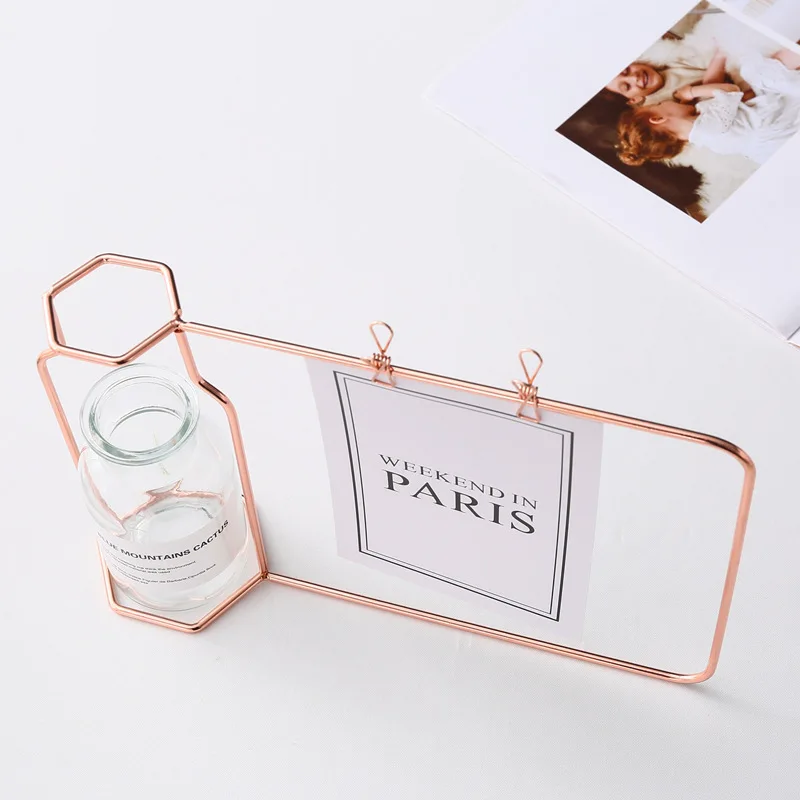 Nordic Hydroponic Glass Vase Wrought Iron Vase Photo Frame Decoration Table Flower Vases Decoration Home Metal Plant Holder 5