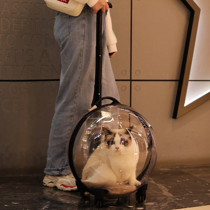 Sac De Transport Pour Chat Boite Cage Grand Chariot Sac De Transport Transparent Sac A Dos Pour Animaux De Compagnie Capsule Spatiale Cb001 Poussettes Aliexpress