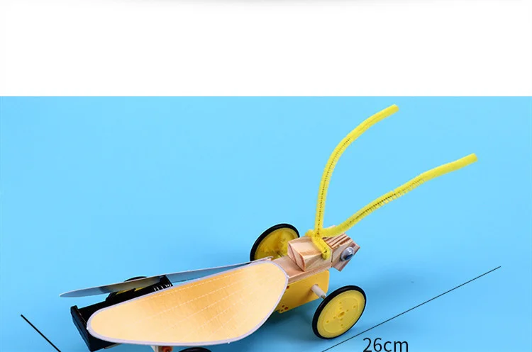 11719686127_246170254.jpg