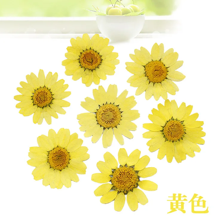 Daisy Flower Plants for Epoxy Resin Jewelry Making 12 Pcs dried flower bouquets,artificial flower,artificial flowers