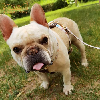 

Presbyopic Leather Pet Harness Bucket Corgi and Shiba Inu Teddy Chest Protection Solid Wood Handle Dog Hand Holding Rope