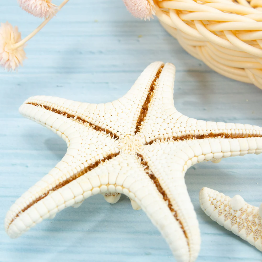 H16a0cdfd33ef4ff485e829ad74ea31ebc.jpg?width=1000&height=1000&hash=2000